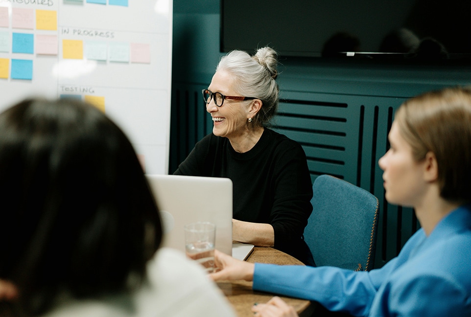 Post-Merger General Ledger Systems Integration​