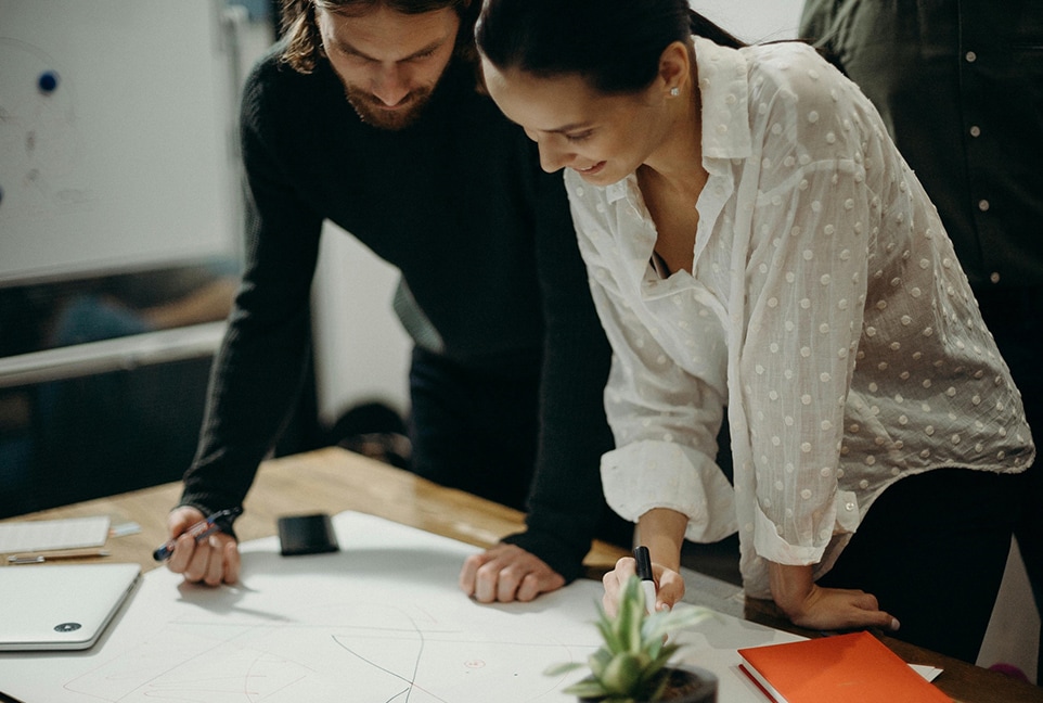 Technology Risk Demand Program Stand-Up & Management​