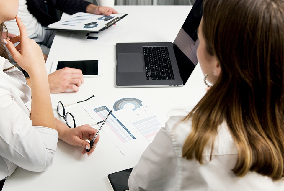 Thematic Technology Risk Issue Remediation Program Stand-Up & Management​